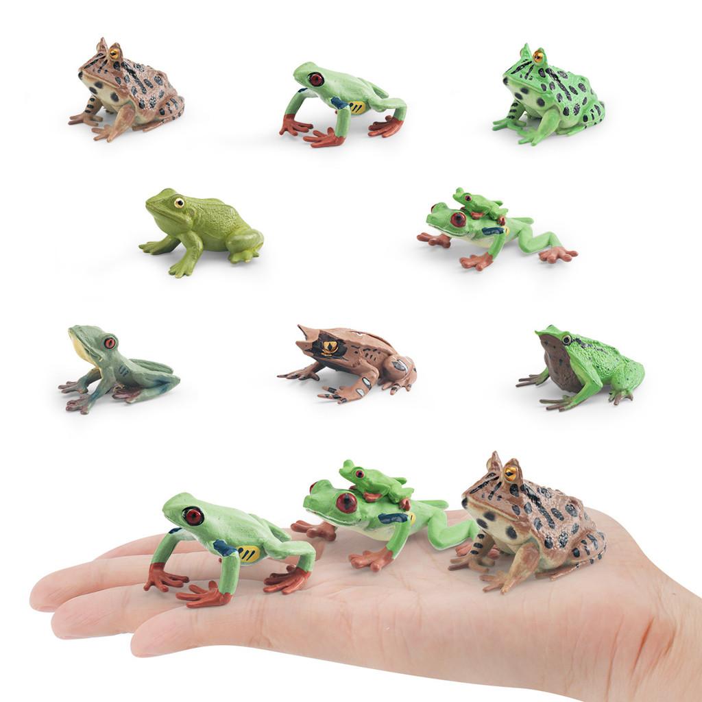 Wildlife Pvc Animal Models With Realistic Frog Collection For Children Educational Decor