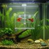 Highly Transparent Fish Breeding Box Acrylic Double Layer Hatching Incubator Suspension Aquarium Isolation Box Nursery