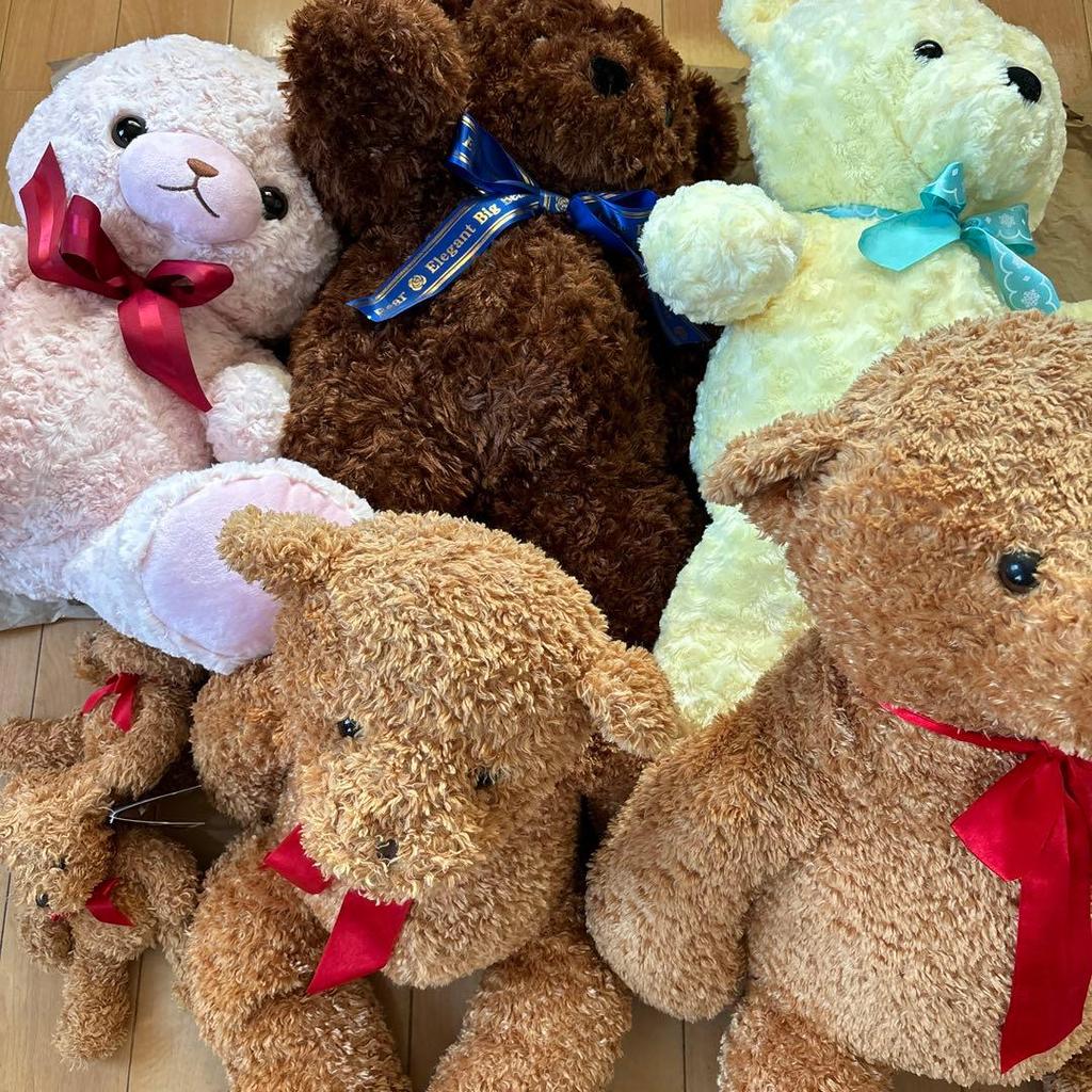 [USED] Teddy bear, Lovely bear, Rose bear, Teddy bear