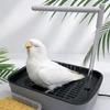 Automatischer Vogelbrunnen Vogeldusche Umwälzbrunnen für kleine Heimvögel Badewannenbrunnen Heimvogelbadewanne