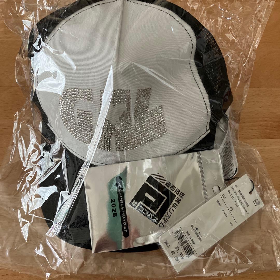 Compass WEGO Miripoyu Cap