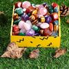 Mixed Color Polished Crystal Gravel for Fish Tanks, Flower Pots, Landscaping, and Children's Gem Digging
