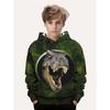 Children's Clothing Autumn Hoodie Cartoon Colorful Animal Print Dinosaur Hoodies for Kids Spring Fashion Long Sleeve Tracksuit