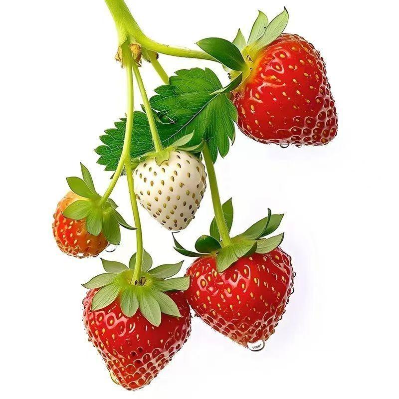 Strawberry Pattern Waterproof Kitchen & Dining Room Sticker - Self-Adhesive for Refrigerator, Glass Door, or Window