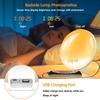Sunrise Sunset Simulation Awakening Alarm Clock with Colorful Atmosphere Light and FM Radio Function.Relaxed Natural Sound Tunes