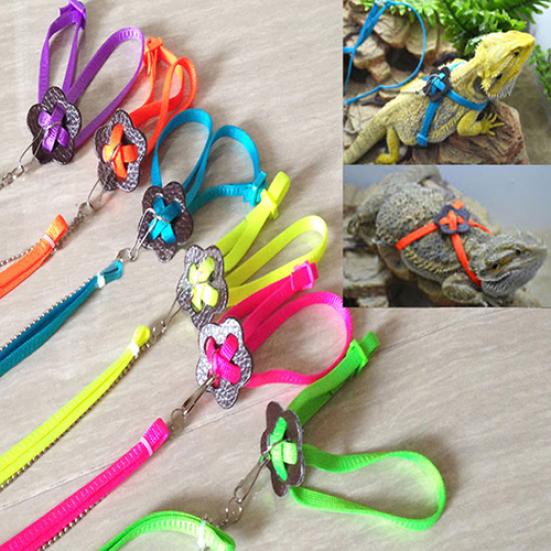 Lizard Harness Adjustable Convenient Soft Great Hardness Lacertid Leash for Outdoor