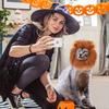 Cat Halloween Costumes - Lion Mane Wig for Cats & Puppies, Adjustable Pet Cosplay Apparel Kitten Outfits for Halloween Christmas Cat Birthday Party