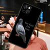Pigeons Doves Bird Birds Flock Animal Case For iPhone 11 12 13 14 15 16 Pro Max Mini X XS XR 14 Plus Protect Cover