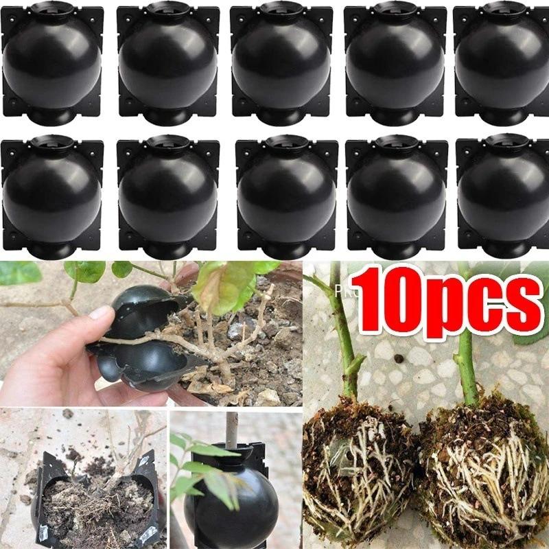 10Pcs Horticultural Grafting Propagation Box, Transparent Pressure Strip Rooting Ball, Fruit Tree Flower Cutting Seedling Plant Propagation Tool