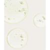 Omnishing [2pack] Fresh Lime Lha Brightening Pore Serum 50ml X 2