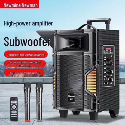 Boxă Portabilă cu Troliu Newmine A8 cu Microfoane Duble Stecher CN (adaptor inclus)