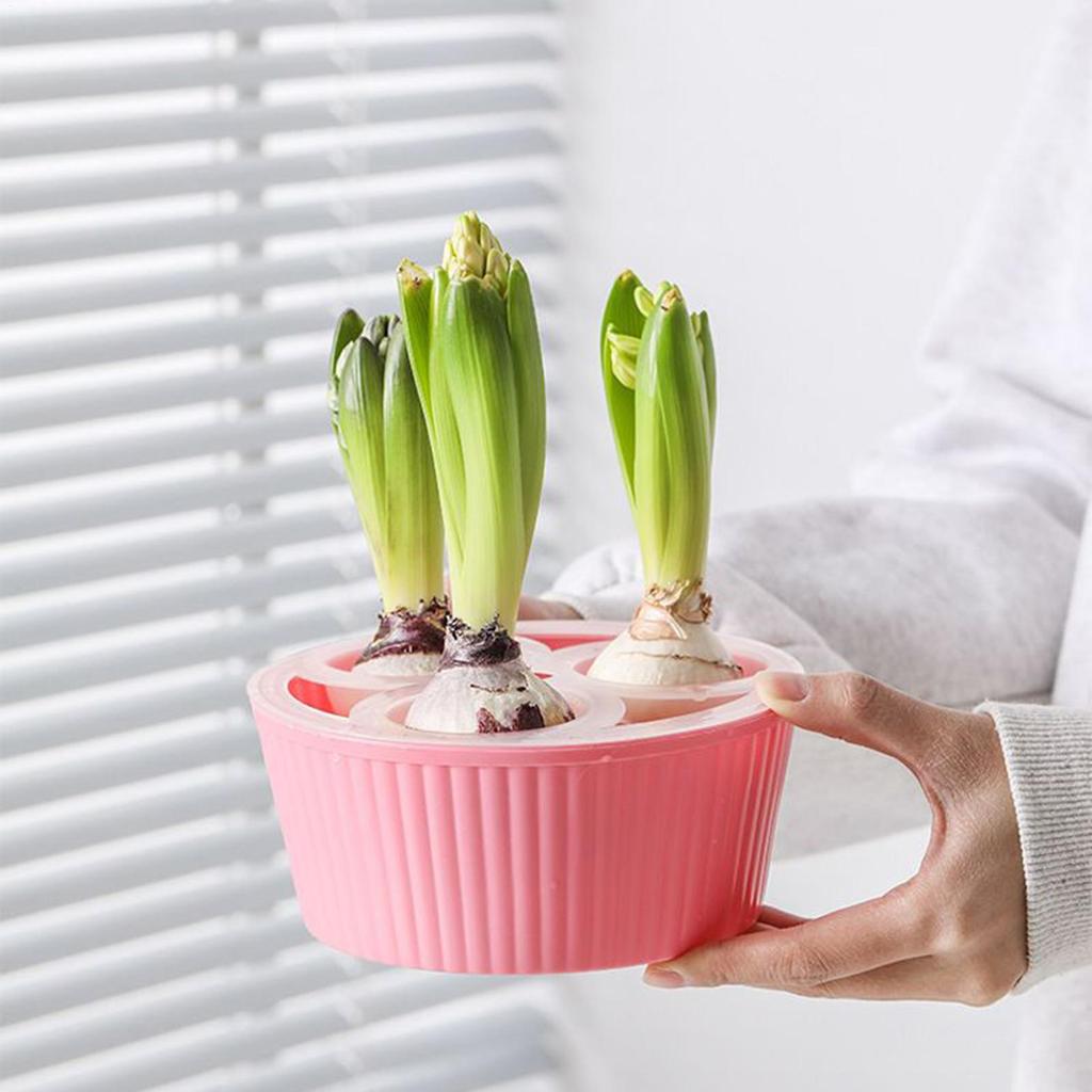 Hyacinth Tulips Seed Hydroponic Flowerpot 3Holes Pots For Plants Soilless Plant Pot Lazy Hydroponic Flower Pot Home Decoration