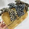 Cloth Bow Headband Bowknot Hair Clip Decoration Sweet Women Headband  Women