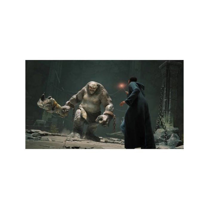 Jeu Vidéo - Warner Games - Poudlard Legacy : The Legacy of Poudlard - Nintendo Switch - Aventure - En Boîte