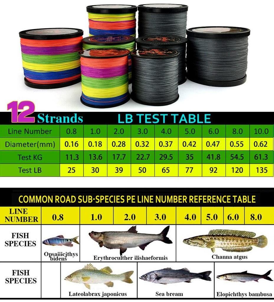 GHOTDA 12 Strand PE Braided Fishing Line 10-80LB 100M Multifilament Fishing Line Carp Fishing Saltwater