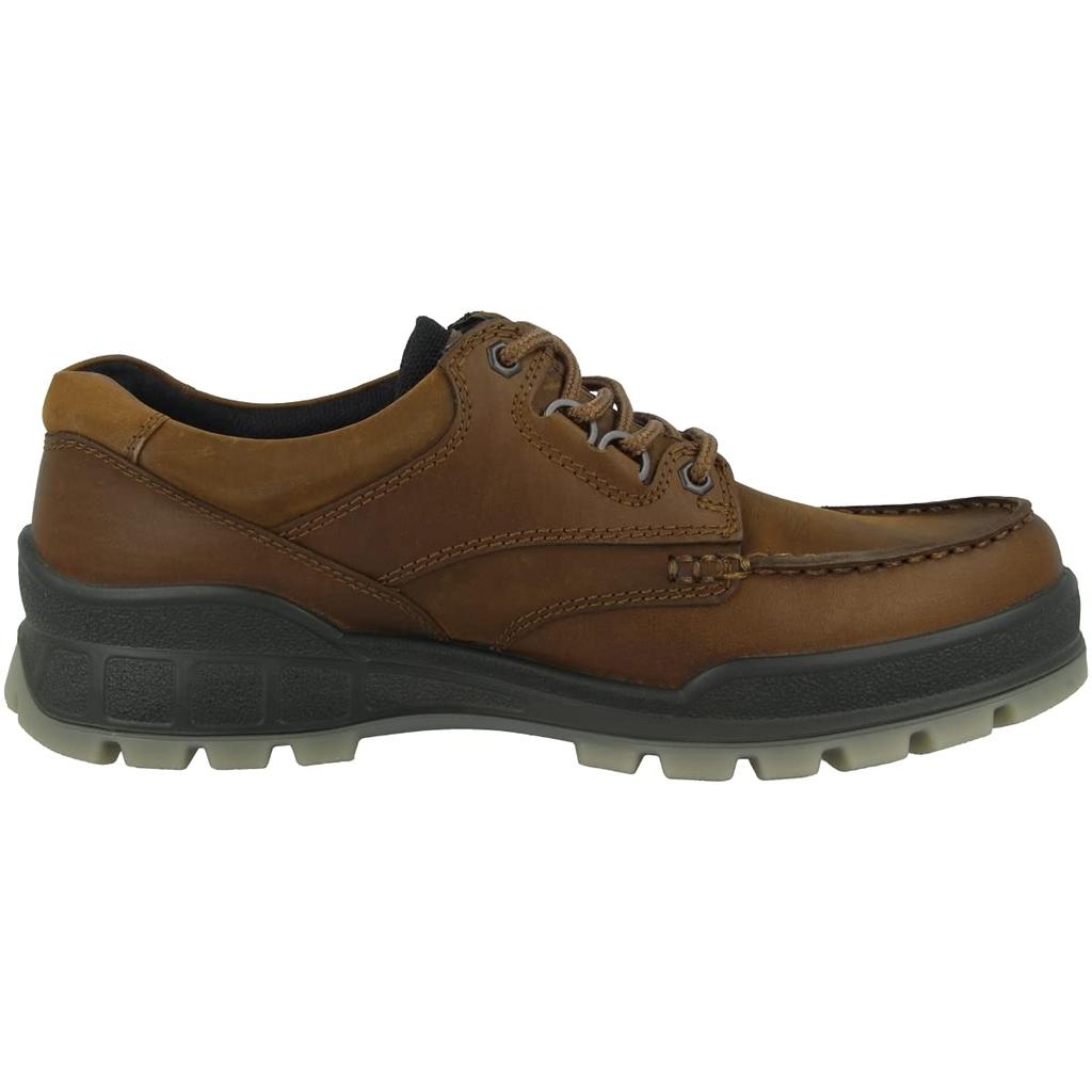 ECCO Men's TRACK 25 Waterproof Outdoor Shoes, Brown, Size 26.5cm
