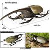 Large Soft Insect Model: Stag Beetle, Rhinoceros Beetle, Grasshopper, Mantis Toy for Kids