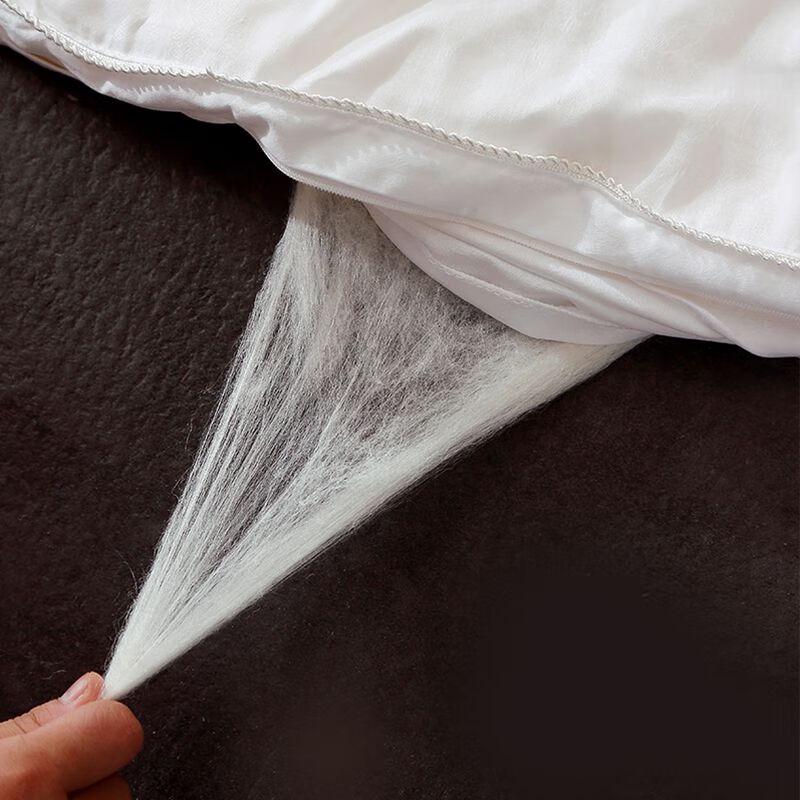 Plover Cotton Jacquard Mulberry Silk Summer Quilt