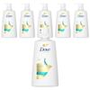 Daily Shine Conditioner, 660ml, 6 Units
