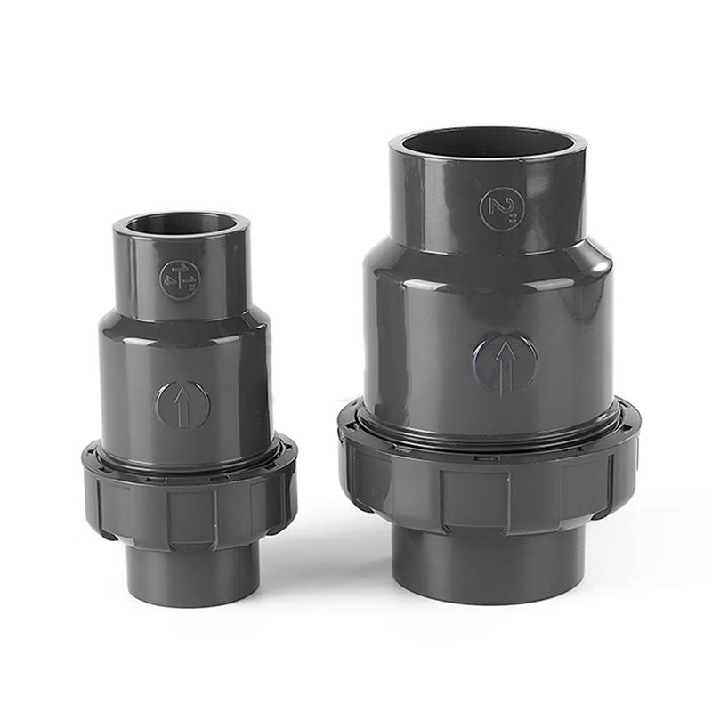 Rongsheng UPVC Ball Check Valve with Stainless Steel Spring