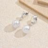 Light Luxury High-grade Cold Wind Pearl Fringed Earrings Multi-color Simple Long Irregular Earrings
