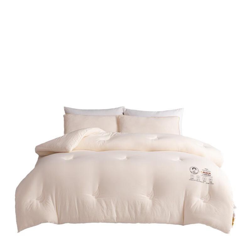 LISM All-Season Duo Quilt