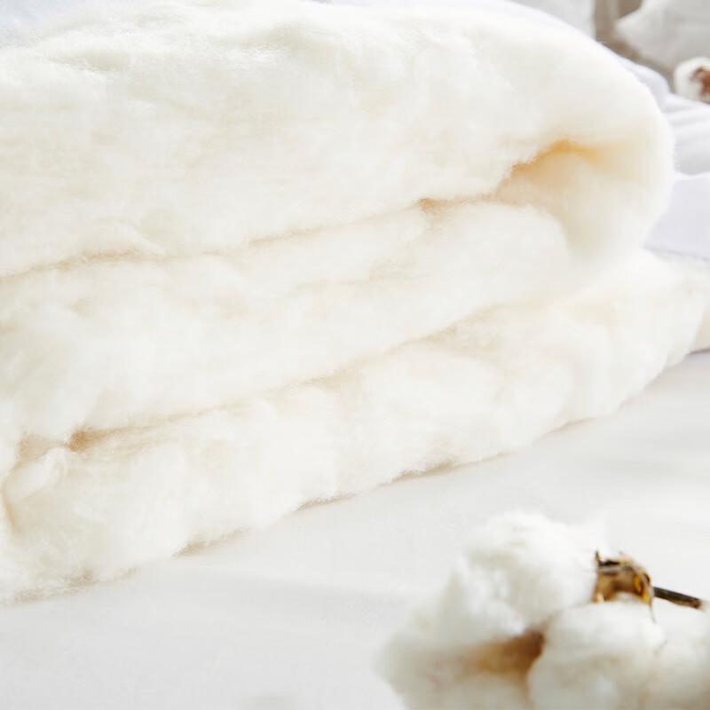 JD x GOGOHOME Xinjiang Cotton Winter Quilt