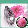 Steel Cutter Stainless 6pcsset Pottery Clay Modeling Diy Handmade Craft Llotus Flower Mold Tools Accessories