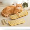 Cat Mint Throw Pillow, Jute Cat Scratch Board, Chewing and Scratching Toy for Dental Care for Cats, Pet Toy
