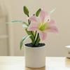 Fake Flower 3D Printing Film Small Lily Bonsai Creative Artificial Flower Interior Decoration Decoration Factory Simulation Pot