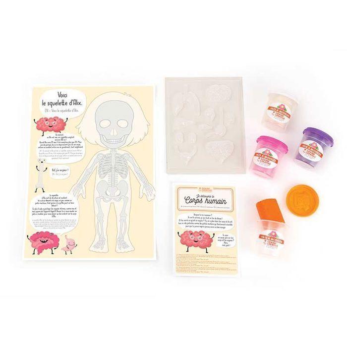 Kit créatif pâte à modeler - Je découvre le corps humain