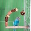 Bird Perch Stand for Parrots Easy Installation Bird Cage Grinding Perch Wood Stand for Enhancing Cage Health Environment