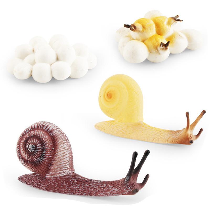 Detailed Pvc Insect And Animal Model Toys Snail Dragonfly Mosquito Grasshopper Realistic Life Cycle Stages