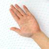 Polyethylene Bird Net for Garden Plant and Fruit Tree Protection