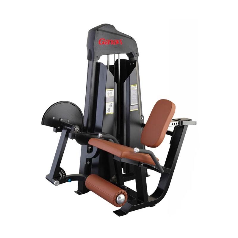 Ganas Seated Leg Extension Trainer