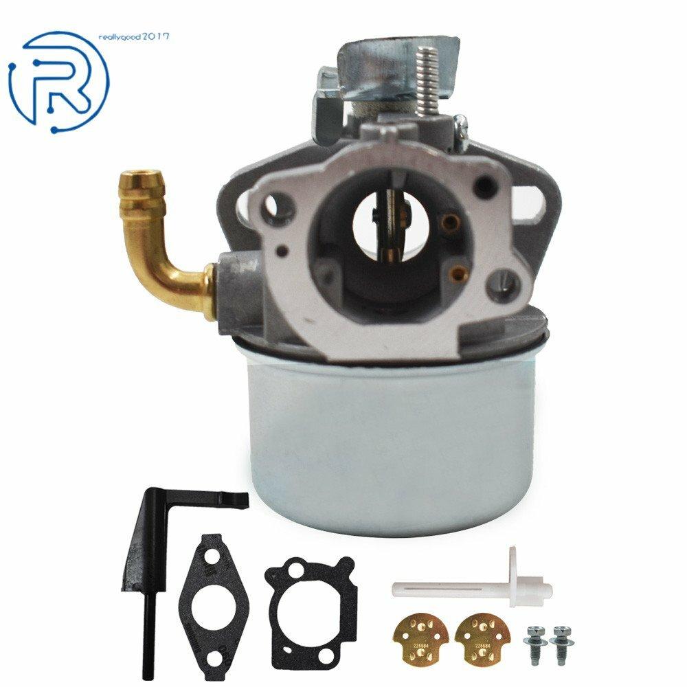 NEW Carburetor for Briggs & Stratton 698479 591925 698475 693518 With Gaskets
