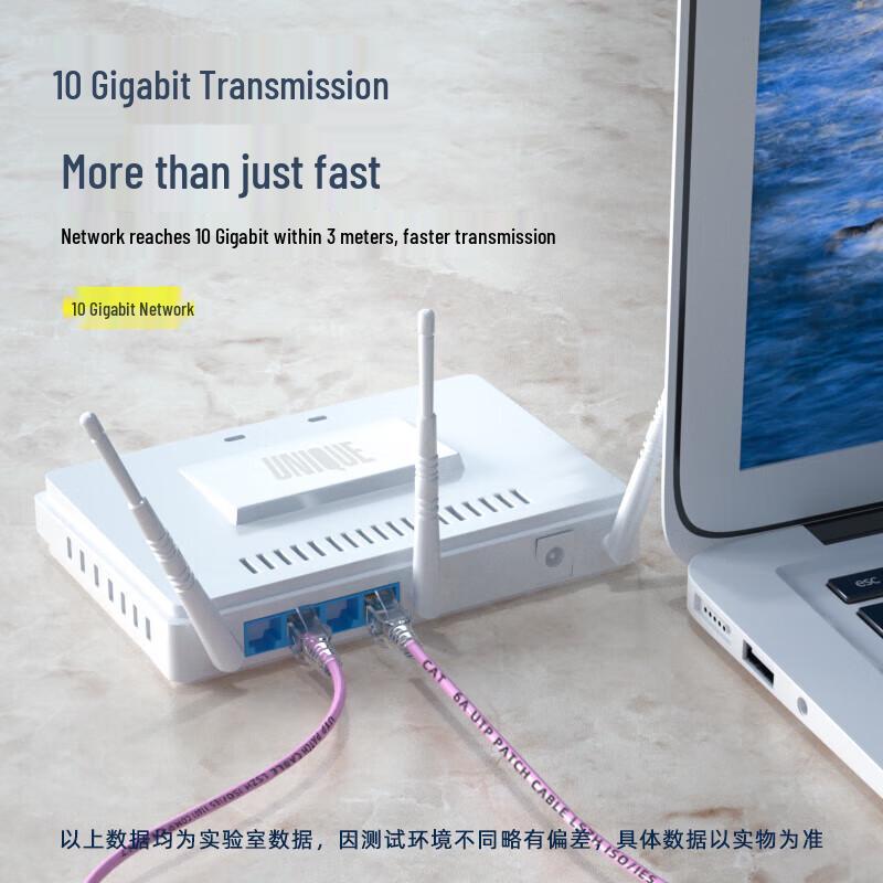 Baisende BSD-H6350 CAT6A Ethernet Cable
