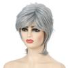 Lady Women Short Wave Synthetic Hair Wig Blonde Brown with Highlights Full Wigs Silver Gray Color