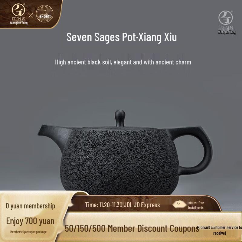 Edenus Ceramic Gongfu Teapot