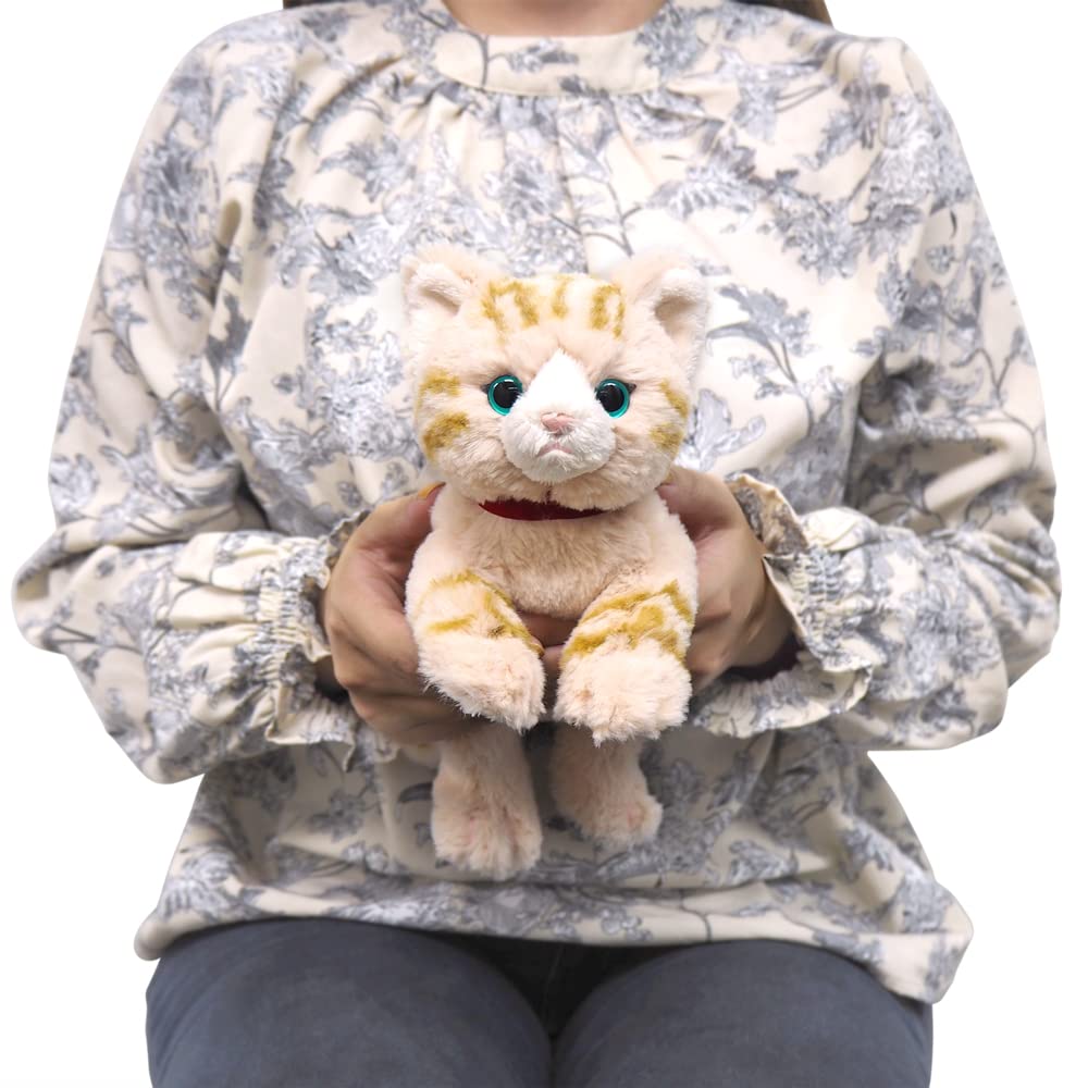 Sun Lemon Lap Cat BR SS 11 x 29 x 12cm Plush Animal Cute Cat P-8022