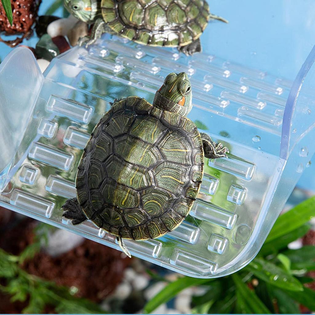 Turtle Docks For Basking Suction Cup Clear Terrace Decoration Adjustable Height Basking Area Ramps For Tank Aquarium Habitat