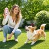 Plüschseil Quietschendes Hundespielzeug Langlebiges Kauspielzeug für kleine und mittelgroße Hunde Welpenzahnen und Zahnpflege Haustier Spielzeug