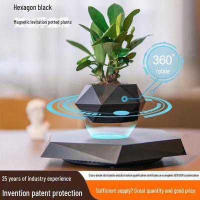Creative Magnetic Levitation Bonsai: Unique Home Decor and Gift Idea