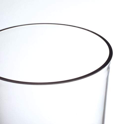 FOYER Unbreakable Vase, Polycarbonate, Stylish, 30cm Tall, 15cm Wide, Large, Product Number 2300074