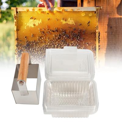 Edelstahlkamm Honigschneider Schaber Mit Kunststoffbox Schneidwerkzeuge Bienenstockzubehör