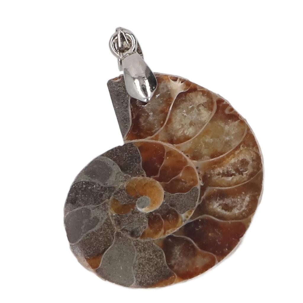 Ammonitenschale Anhänger Handgefertigt Vintage Natur Ammonit Anhänger für Frauen Männer Geschenk