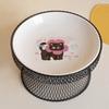 Non-Slip Elevated Pet Bowl No Spill with Stand Dog Water Bowl Large Capacity Cat Feeding Station Wet And Dry Food
