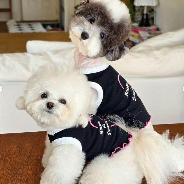 

Small Dog Clothes Summer Breathable Clothing for Cat Cute Dog Clothing for Small Dog Vest Ruffled Collar Pet Clothes XXL