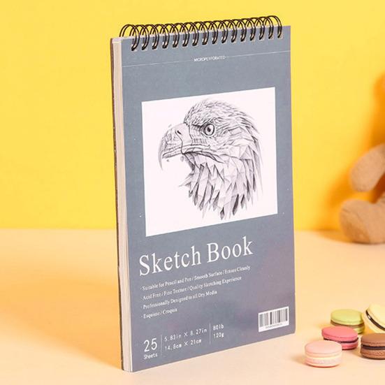 Kniha skic s pevnou vazbou spirála drátěná vazba 25 listů Bez kyselin Bez rozlití Silný papír Umělec Umělec Student Kreslení Kreslení Psaní Skicák Umělecké potřeby