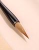 Premium Wolf Hair Brush Pen for Calligraphy and Chinese Painting - Ideal for Regular & Running Script, Character Practice, and Professional Creations